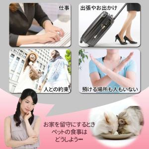 自動給餌器 猫 犬 タイマー 自動餌やり機 自...の詳細画像1
