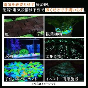 発光石 蓄光石 光る 石 ガーデニング 庭 夜...の詳細画像3