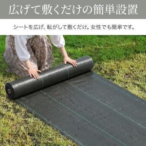 防草シート ピン 2m×50m 除草シート ぼ...の詳細画像5