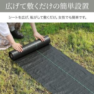 防草シート ピン 50cm 50m 100m ...の詳細画像5