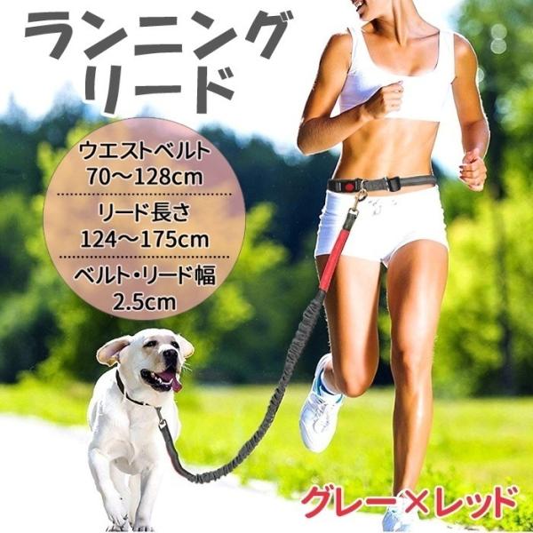 犬 リード ハンズフリー 腰巻き 伸縮 長い ハーネス 散歩 ジョギング ランニング