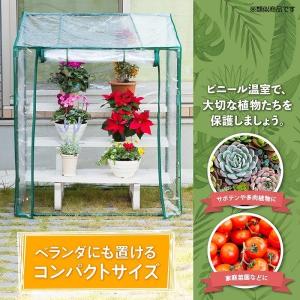ビニールハウス 家庭用 温室 ビニール温室 温...の詳細画像1