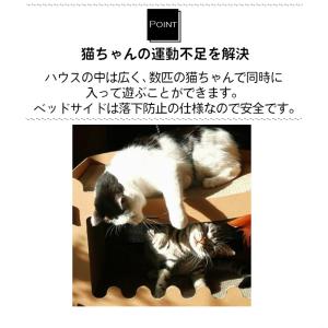 猫 爪とぎ 猫爪とぎ 猫の爪とぎ 爪研ぎ つめ...の詳細画像1