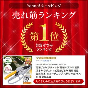 剪定ばさみ 剪定鋏 剪定バサミ 枝切りバサミ ...の詳細画像5