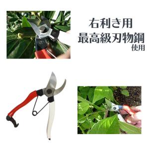 剪定ばさみ 岡恒 日本製 剪定鋏 180mm ...の詳細画像1