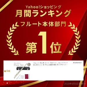 フルート 初心者 セット 7点セット フルート...の詳細画像1