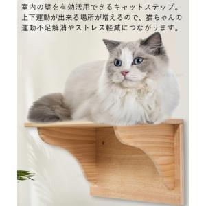 キャットステップ 壁付け 猫用 キャットウォー...の詳細画像1