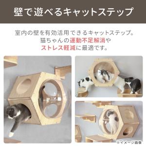 キャットステップ 壁 壁付け 猫用 ハウス ハ...の詳細画像1