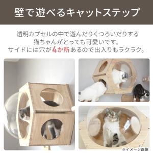 キャットステップ 壁 壁付け 猫用 ハウス ハ...の詳細画像2