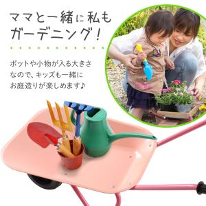 一輪車 農業用 ネコ車 ねこ車 手押し一輪車 ...の詳細画像2
