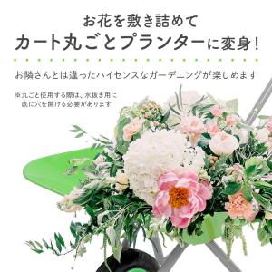 一輪車 農業用 ネコ車 ねこ車 手押し一輪車 ...の詳細画像3