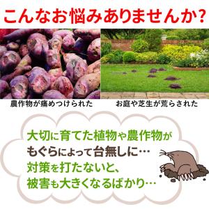 モグラ退治 モグラ撃退器 モグラ捕獲機 モグラ...の詳細画像1