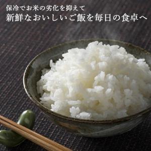 保冷米びつ 31kg エムケー精工 HK-33...の詳細画像1