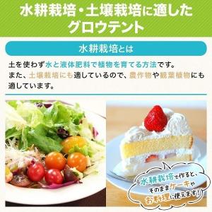 温室 簡易温室 ミニ温室 家庭用 家庭菜園 室...の詳細画像2