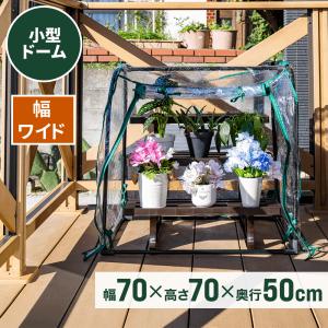 ビニールハウス 家庭用 巻き上げ式 小型 温室 ガーデンハウス 温室ハウス グリーンキーパー 温室棚 家庭菜園 温室フラワーラック OSDM-1