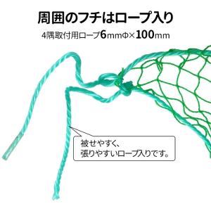 防球ネット 5m 10m 野球 バスケ サッカ...の詳細画像3
