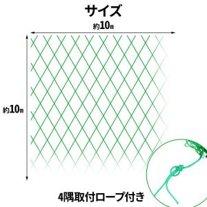 防球ネット 5m 10m 野球 バスケ サッカ...の詳細画像5
