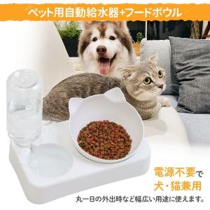 フードボウル 猫 皿 犬 陶磁器 ネコ 餌入れ...の詳細画像1