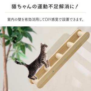 キャットウォーク 壁 猫用 階段 diy はし...の詳細画像1