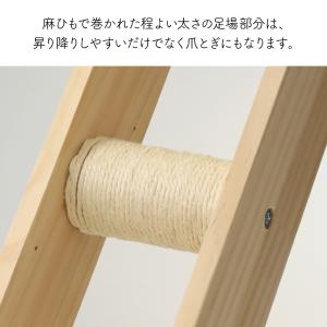 キャットウォーク 壁 猫用 階段 diy はし...の詳細画像3