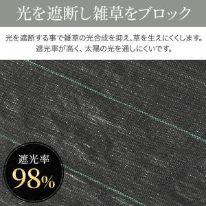 防草シート 1m×50m UV剤入り 人工芝 ...の詳細画像1