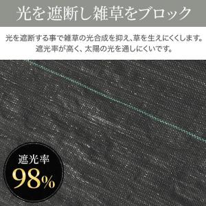 防草シート ピン 50cm 除草シート ピン付...の詳細画像3