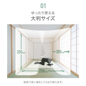 蚊帳 吊り下げ 大判 かや 6畳 部屋全体 出...の詳細画像3