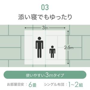 蚊帳 吊り下げ 大判 かや 6畳 部屋全体 出...の詳細画像5