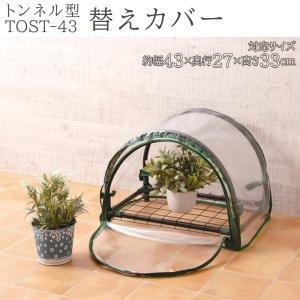 ビニールハウス 温室 小型 家庭用 温室ハウス 観葉植物 パイプ