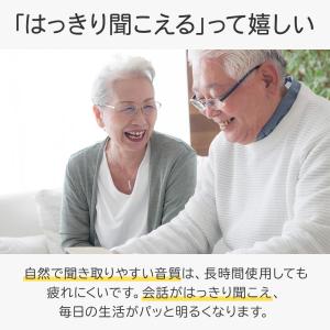 集音器 高齢者 耳穴式 音質切り替え機能 電池...の詳細画像1
