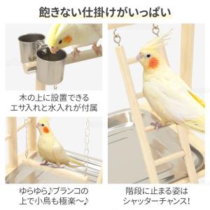 止まり木 インコ 鳥用パーチ 止まり木スタンド...の詳細画像2
