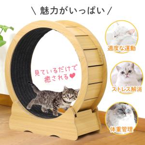 キャットホイール 猫 おもちゃ キャットランナ...の詳細画像1