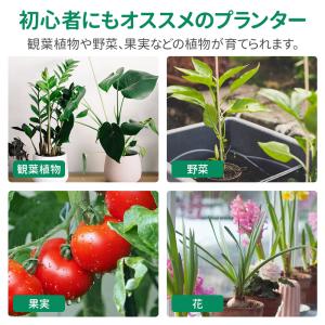 不織布プランター 7ガロン 5個 12ガロン ...の詳細画像2