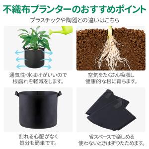 不織布プランター 7ガロン 5個 12ガロン ...の詳細画像3