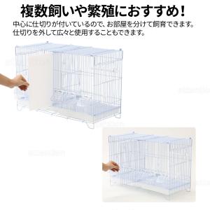 鳥かご 鳥籠 ケージ おしゃれ 多頭飼い 大型...の詳細画像2