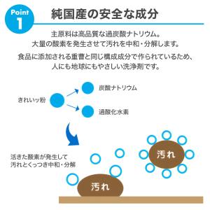きれいッ粉 1kg 多用途洗浄剤 きれいっ粉 ...の詳細画像2