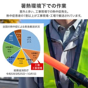 熱中症指数計 熱中症計 熱中症対策グッズ 熱中...の詳細画像3