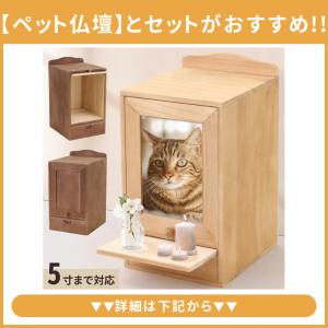 仏具 おりん セット ミニおりん りん ペット...の詳細画像5