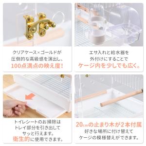 鳥かご ケージ クリア 小型 おしゃれ 鳥籠 ...の詳細画像2