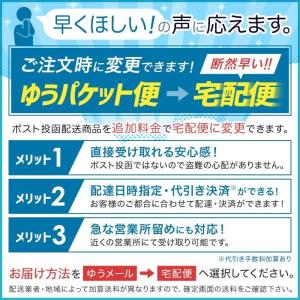 ツムラ 津村鋼業 2枚刃 刈払機 切込2枚刃 ...の詳細画像1