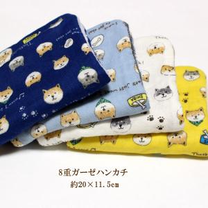 1801円以上送料無料】 ガーゼハンカチ 柴犬 顔 イヌ 犬 いぬ 動物