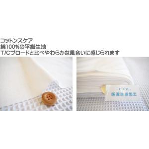 ●吸湿冷感加工生地/T/Cブロード生地とコット...の詳細画像5