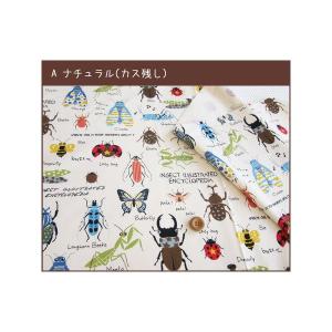 ★<<キッズプリント>>シリーズ生地/昆虫柄の...の詳細画像4