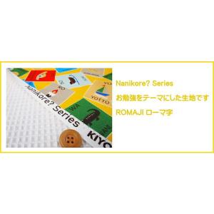 ●<<Nanikore? シリーズ>>/お勉強...の詳細画像5