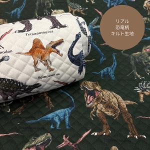 リアル恐竜柄キルティング生地/リアルな恐竜と名前柄のキルト生地/迫力の大型プリント/ダイナソー柄/入園入学/N26