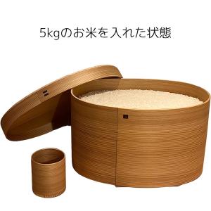 北欧】美品/ARTS&SCIENCE取扱い/流動研究所 Peter Ivy Production