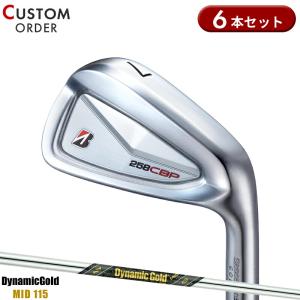 ゴールデンプリックス MC アイアン 5本セット (#6/#7/#8/#9/PW