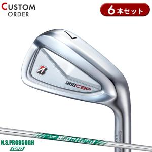 PRGR（プロギア） カスタム 04 アイアン 2024 単品販売 NSプロ 850GH