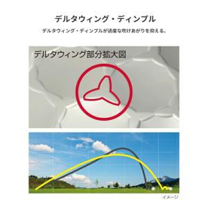 【即納】【正規品】 ブリヂストンゴルフ スーパ...の詳細画像5