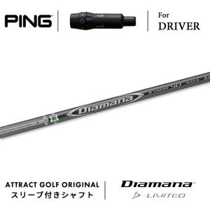 RDX カスタム ピン ドライバー用スリーブ付きシャフト PROJECT X